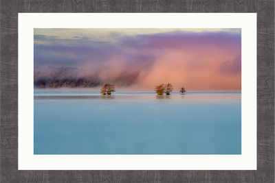 Texas Wall Art by Mansfield Photography